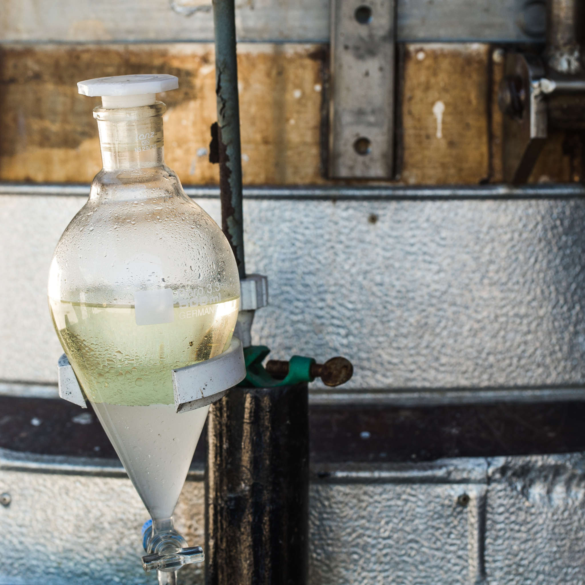 Rotfichte Ätherisches Öl